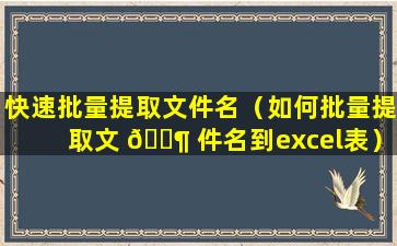 快速批量提取文件名（如何批量提取文 🐶 件名到excel表）